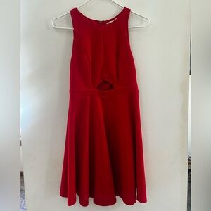 🚨🚨 Francesca's Collections Vibrant Red Dress Size S